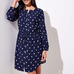 Long Sleeve polka dot Loft dress